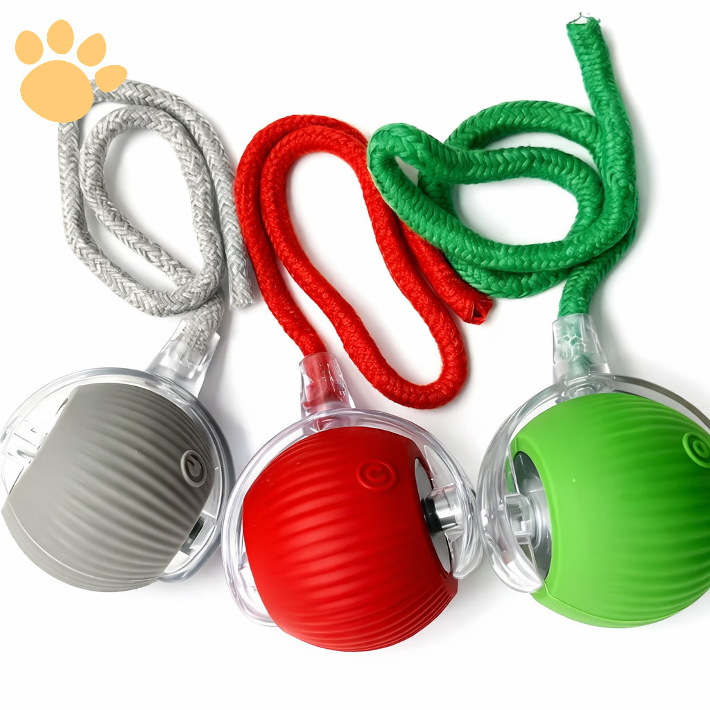 Pelota Inteligente Pawradise™