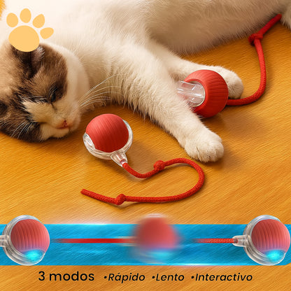 Pelota Inteligente Pawradise™