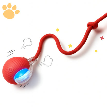 Pelota Inteligente Pawradise™