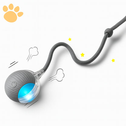 Pelota Inteligente Pawradise™