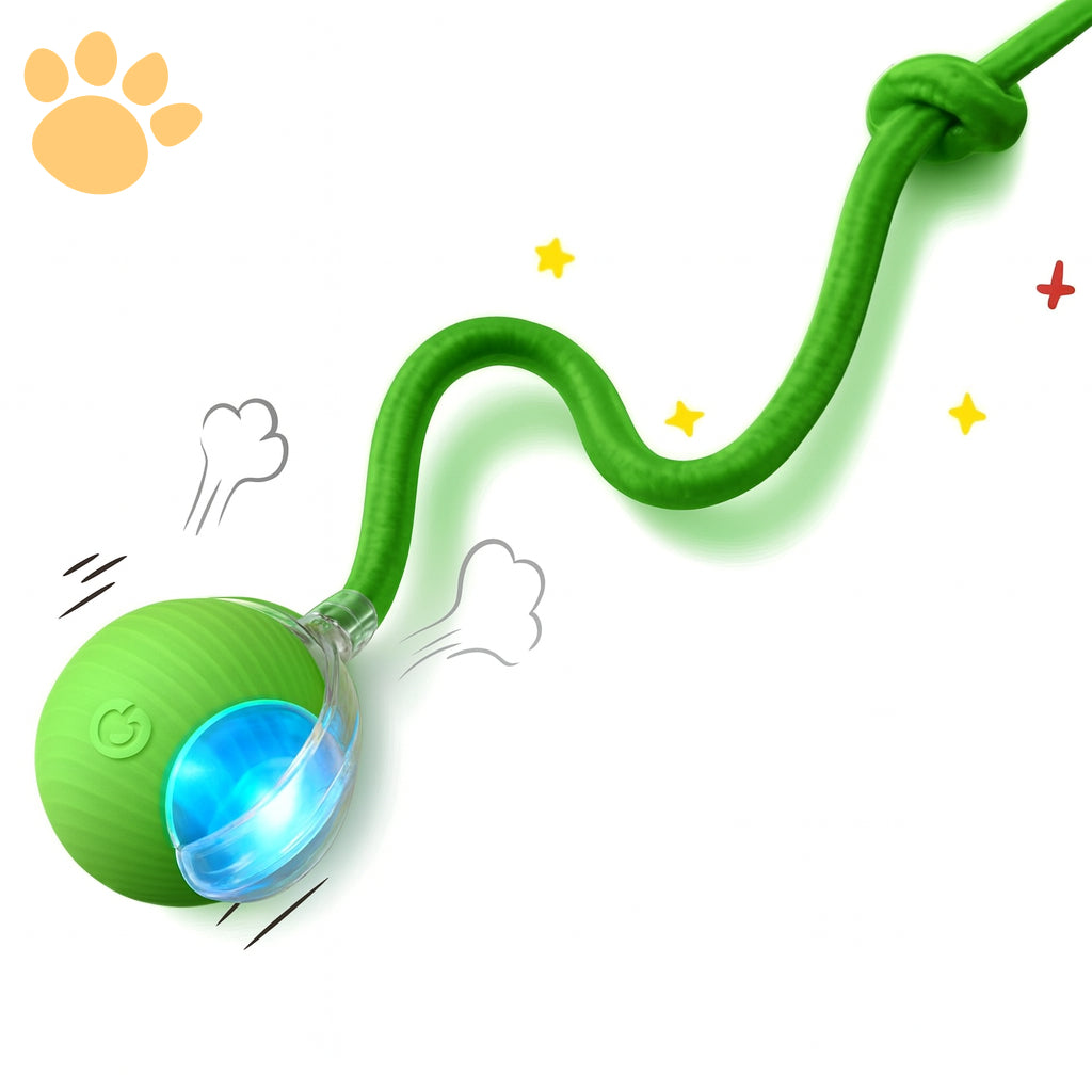 Pelota Inteligente Pawradise™