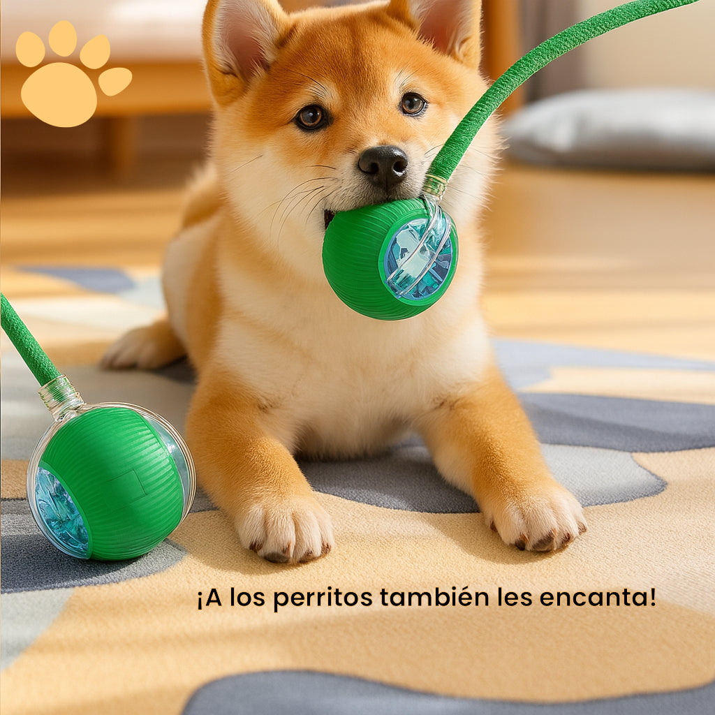 Pelota Inteligente Pawradise™